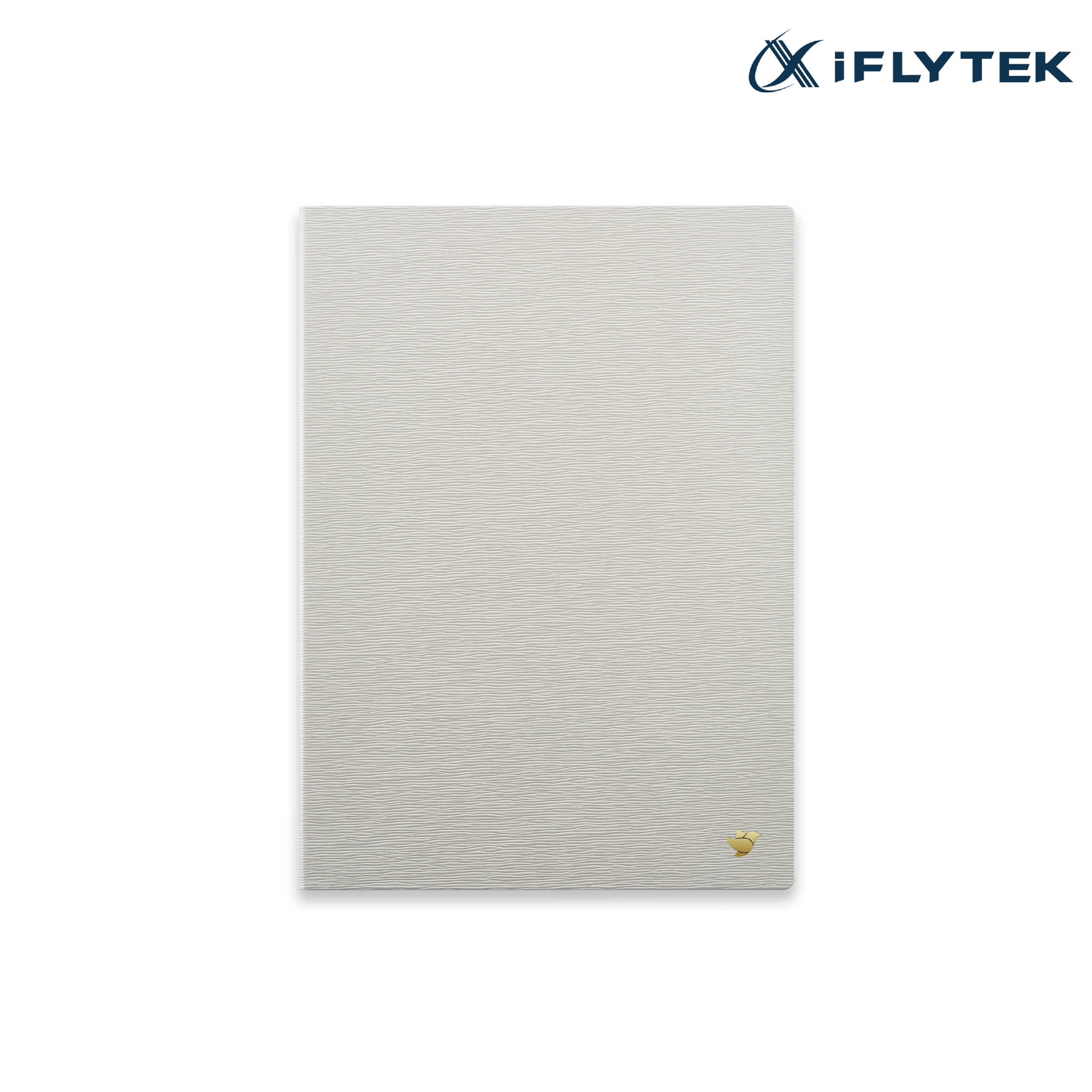 iFLYTEK Ainote 2 Case