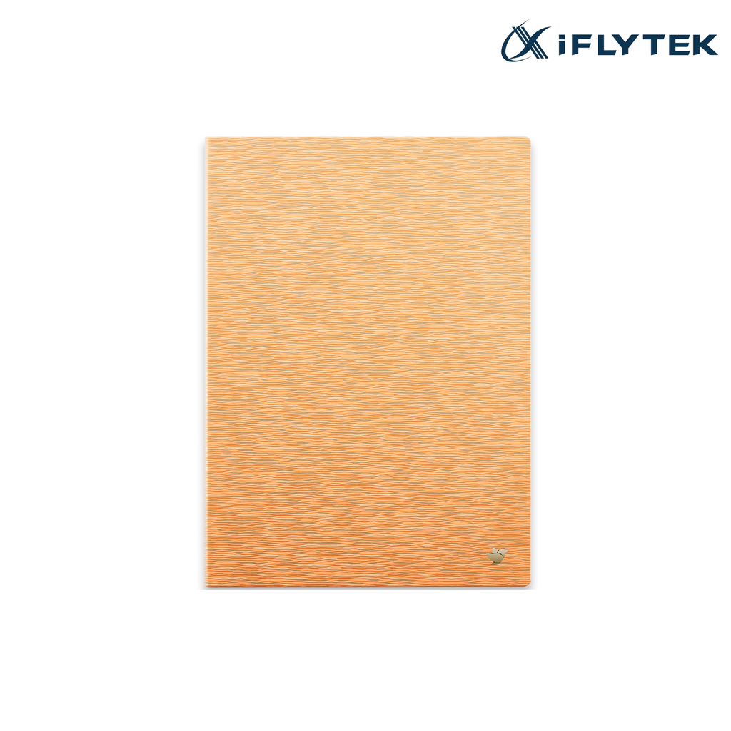 iFLYTEK Ainote 2 Case